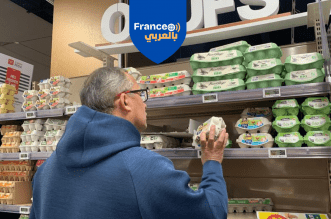 البيض يتلاشى من رفوف المتاجر الفرنسية : قصة نقص غذائي مفاجئ