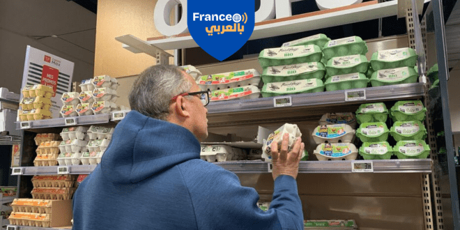 البيض يتلاشى من رفوف المتاجر الفرنسية : قصة نقص غذائي مفاجئ