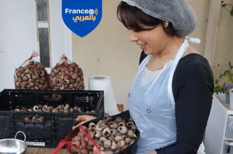 الحلزون المغربي يتغلب على شتاء باريس… وصفة نورة تجمع الطعم والفوائد الصحية